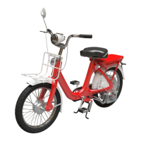 Preview: Honda P-50
