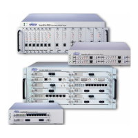 Preview: Spirent SmartBits System