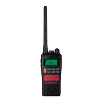Preview: Entel HT544