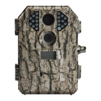 Preview: Stealth STC+P18CMO