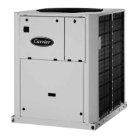 Preview: Carrier 61AF