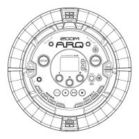 Preview: Zoom ARQ AR-96