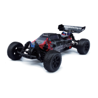 Preview: BSD-Racing BS213T