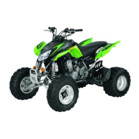 Preview: Arctic Cat DVX 400 2008