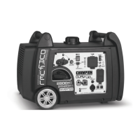 Preview: Champion Power Equipment 100204
