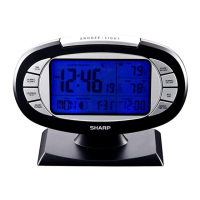 Preview: Sharp SPC315