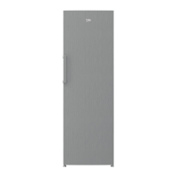 Preview: Beko RFNE312K21X