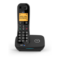Preview: BT BT1200
