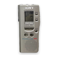 Preview: Sony ICD-R100