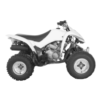 Preview: Suzuki LT-Z250