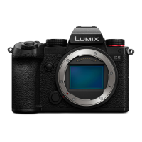 Preview: Panasonic Lumix S5