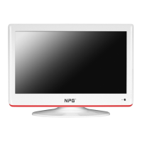 Preview: NPG NT-229W-P