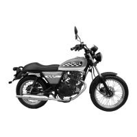 Preview: Qingqi QM125-2X GS