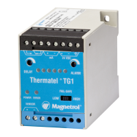 Preview: Magnetrol THERMATEL TG1