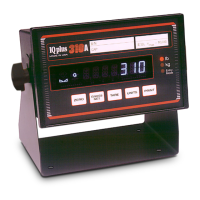Preview: Rice Lake IQ plus 310A