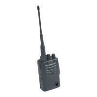 Preview: Blackdiamond radio CE420