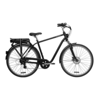 Preview: Btwin ELOPS 900E