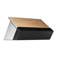 Preview: Bang & Olufsen BeoSound Moment