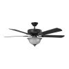 Fan Logo