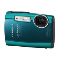 Preview: Olympus 3000