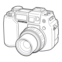 Preview: Olympus CAMEDIA C-5050 Zoom
