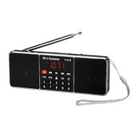 Preview: Radioddity Y-618
