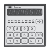 Preview: Baumer NE212