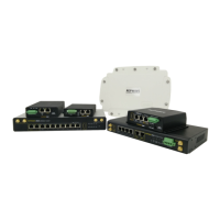 Preview: Pepwave HD2