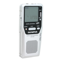 Preview: Olympus DS-2300