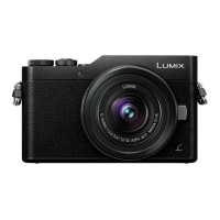 Preview: Panasonic DX-GX800