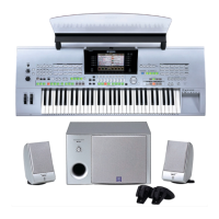 Preview: Yamaha Tyros TRS-MS01