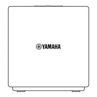 Preview: Yamaha NX-A01