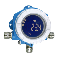 Preview: Endress+Hauser tmt142