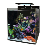 Preview: BlueMarine reef 60