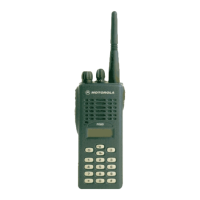 Preview: Motorola P Series