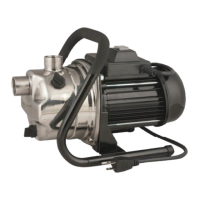 Preview: Barracuda PUMPS 6913867