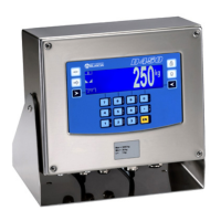 Preview: Bilanciai D450
