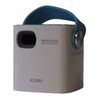 Preview: ICODIS CB-100W