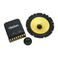 Preview: Clarion SSW1201