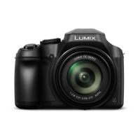 Preview: Panasonic DC-FZ80