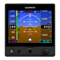 Preview: Garmin G5