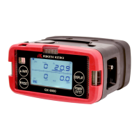 Preview: RKI Instruments GX-8000