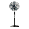 Fan Logo