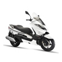 Preview: Benelli ZAFFERAN 250