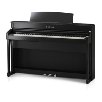 Preview: Kawai CS8