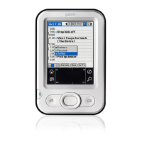 Preview: Palm Z22