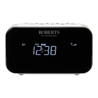 Preview: Roberts ORTUS 1