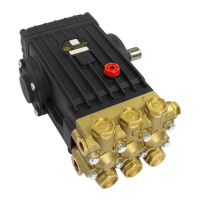 Preview: Interpump W201