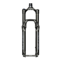 Preview: SRAM PIKE RCT3