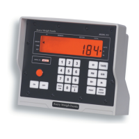 Preview: Avery Weigh-Tronix 915A